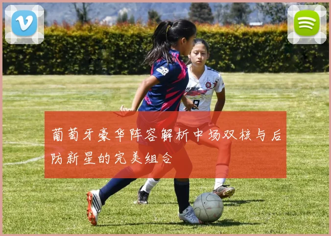 葡萄牙豪华阵容解析中场双核与后防新星的完美组合