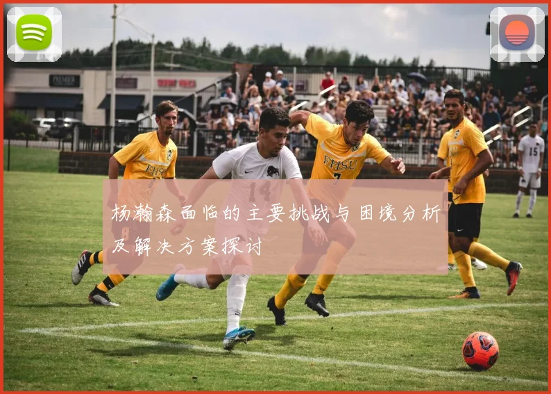 杨瀚森面临的主要挑战与困境分析及解决方案探讨