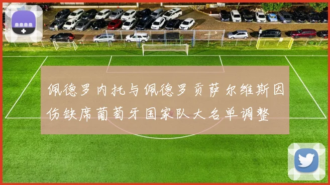 佩德罗内托与佩德罗贡萨尔维斯因伤缺席葡萄牙国家队大名单调整