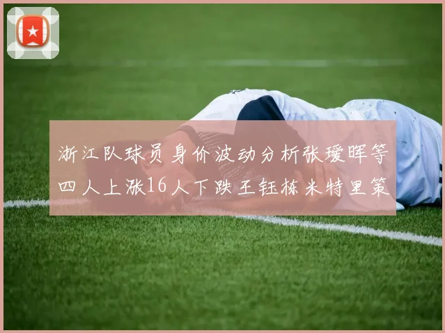 浙江队球员身价波动分析张瑷晖等四人上涨16人下跌王钰栋米特里策保持不变
