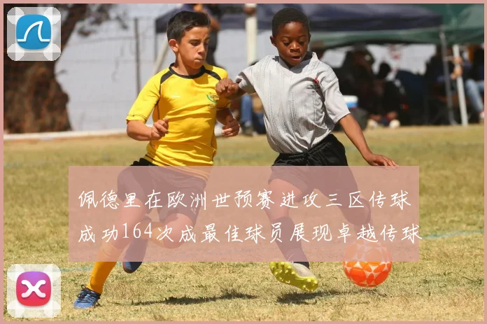 佩德里在欧洲世预赛进攻三区传球成功164次成最佳球员展现卓越传球能力