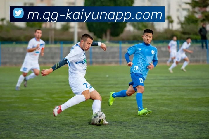 多媒体互动体验